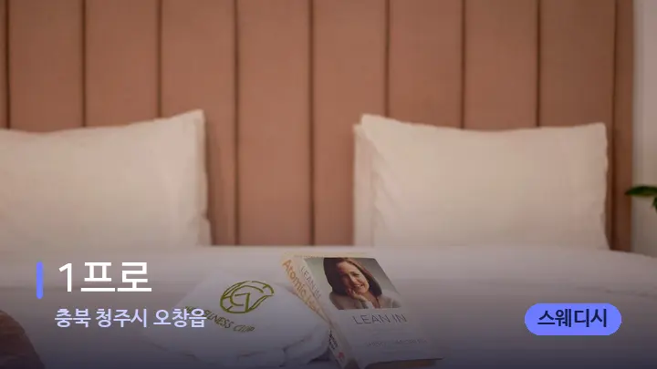 충북 청주시 오창읍 1프로 — 휴식 분위기의 스파 베드