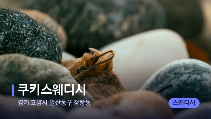 경기 고양시 일산동구 장항동 쿠키스웨디시 — 마사지용 스톤
