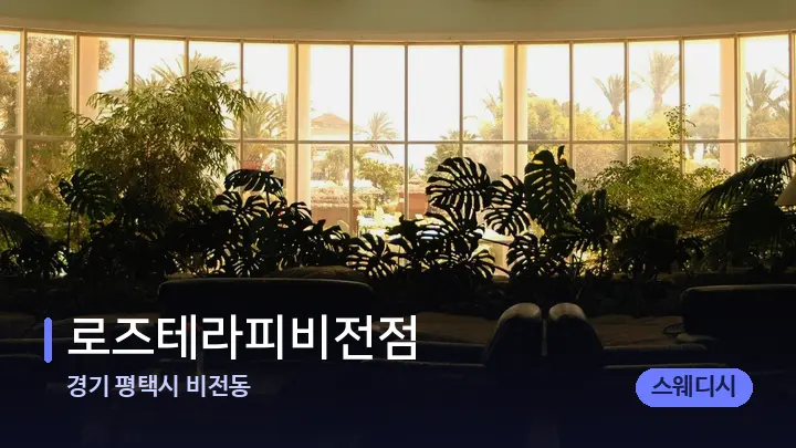 경기 평택시 비전동 로즈테라피비전점 — 스파 프런트 공간