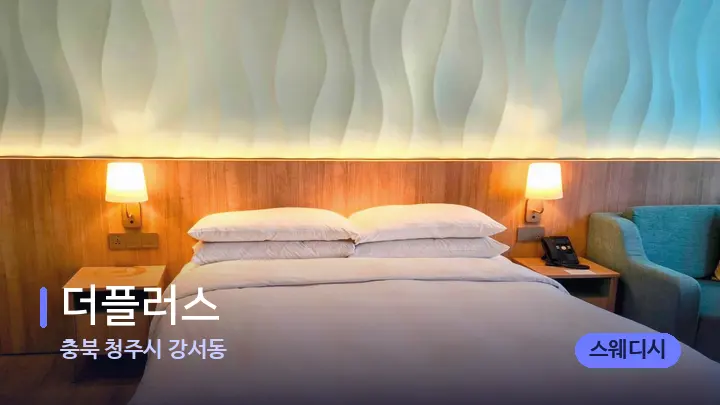 충북 청주시 강서동 더플러스 — 휴식 분위기의 스파 베드