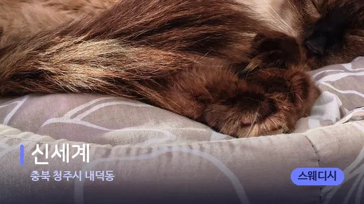 충북 청주시 내덕동 신세계 — 휴식 분위기의 스파 베드