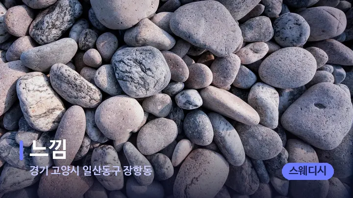 경기 고양시 일산동구 장항동 느낌 — 마사지용 스톤