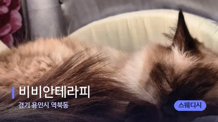 경기 용인시 역북동 비비안테라피 — 휴식 분위기의 스파 베드