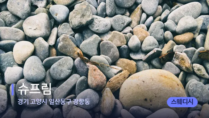 경기 고양시 일산동구 장항동 슈프림 — 마사지용 스톤