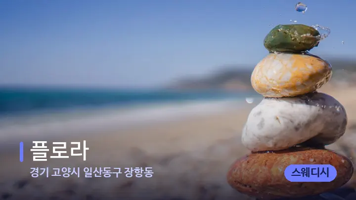 경기 고양시 일산동구 장항동 플로라 — 마사지용 스톤