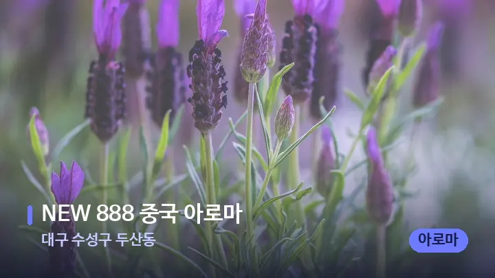 대구 수성구 두산동 NEW 888 중국 아로마 — 아로마테라피 오일