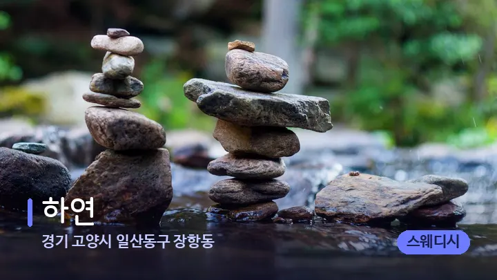 경기 고양시 일산동구 장항동 하연 — 마사지용 스톤