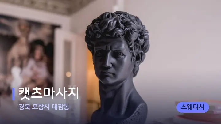 경북 포항시 대잠동 캣츠마사지 — 스파 프런트 공간