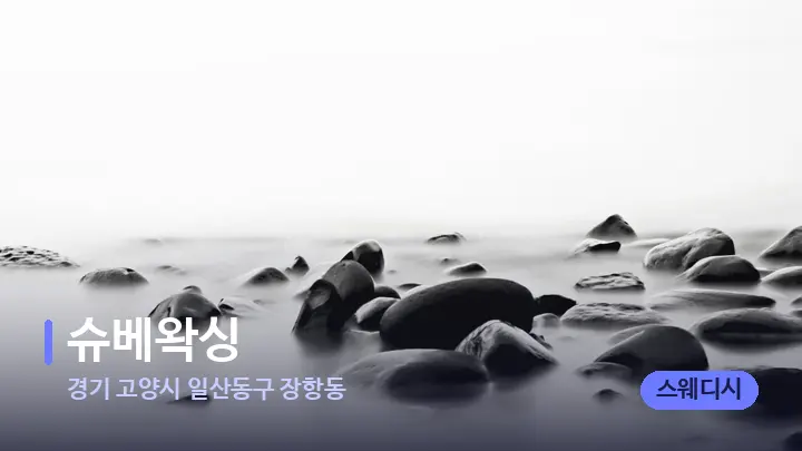 경기 고양시 일산동구 장항동 슈베왁싱 — 마사지용 스톤