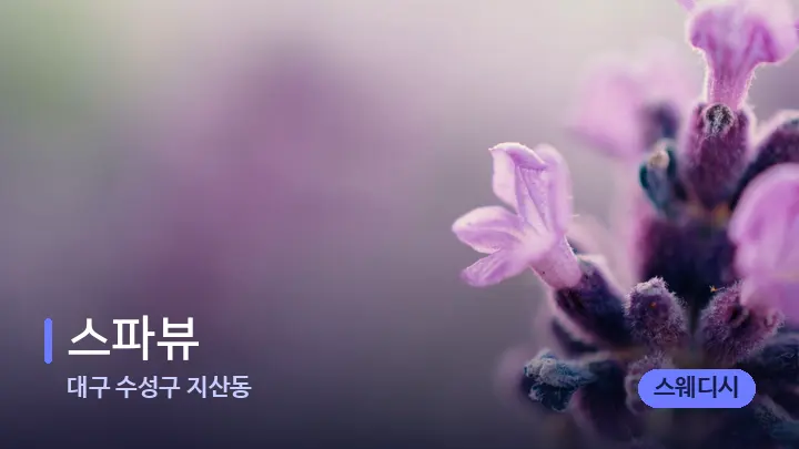 대구 수성구 지산동 스파뷰 — 아로마테라피 오일