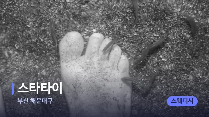 부산 해운대구 스타타이 — 발 관리 장면