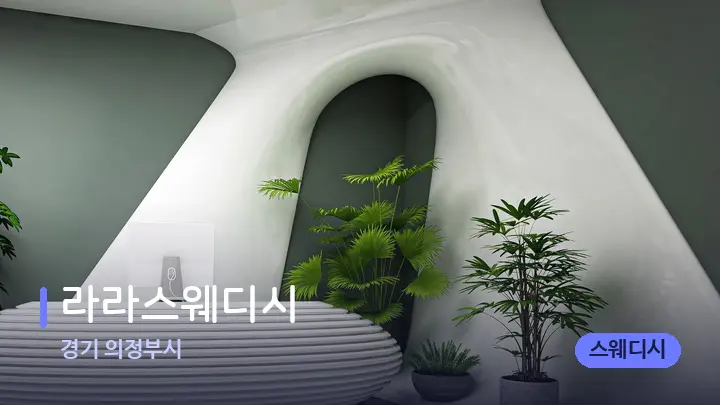 경기 의정부시 라라스웨디시 — 스파 프런트 공간