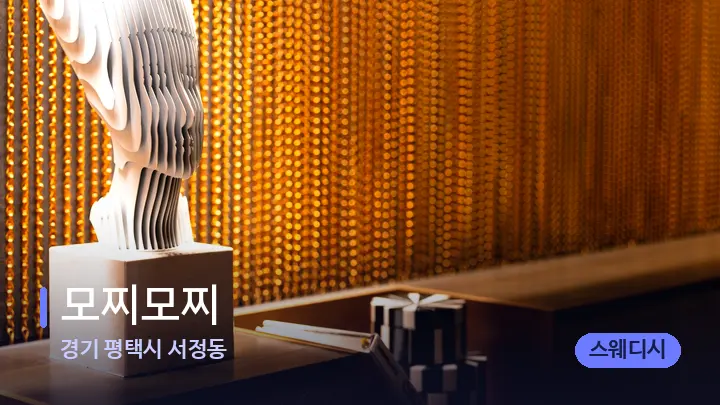 경기 평택시 서정동 모찌모찌 — 스파 프런트 공간