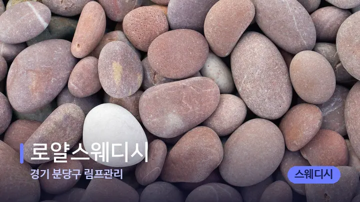 경기 분당구 림프관리 로얄스웨디시 — 마사지용 스톤