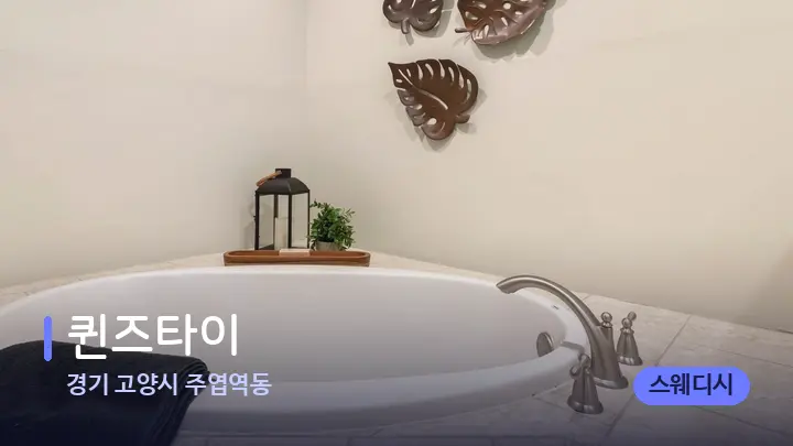 경기 고양시 주엽역동 퀸즈타이 — 웰니스 스파 공간
