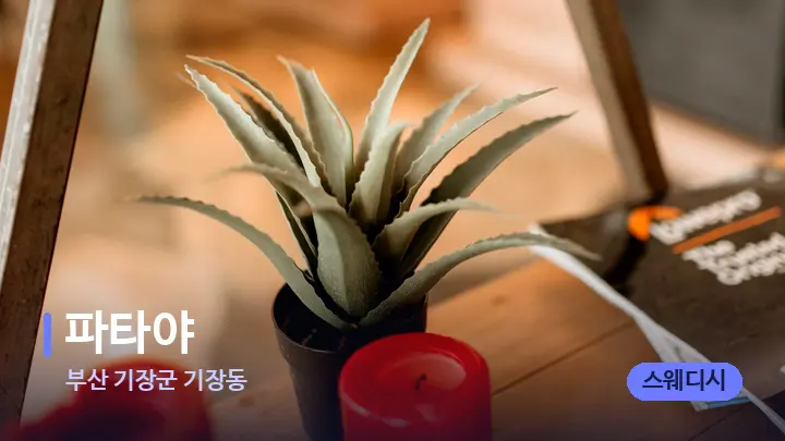 부산 기장군 기장동 파타야 — 스파 프런트 공간