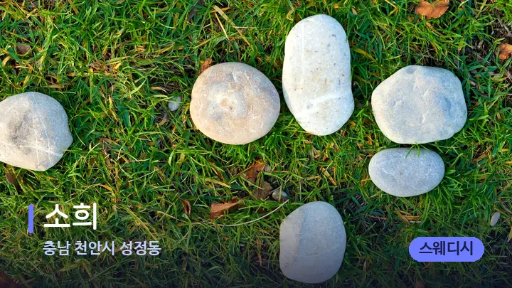 충남 천안시 성정동 소희 — 마사지용 스톤