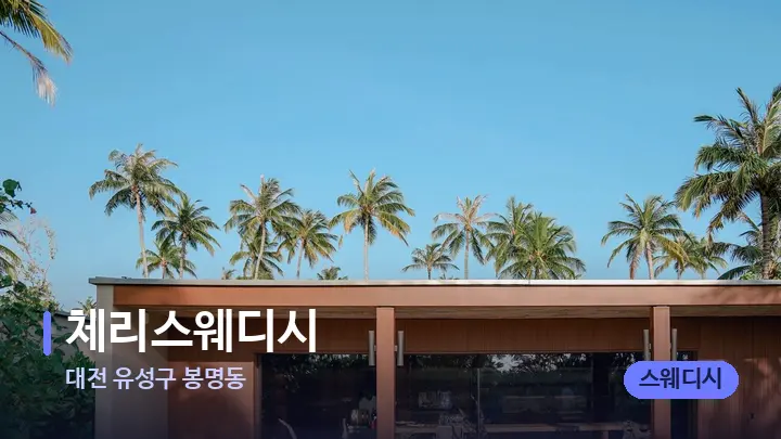 대전 유성구 봉명동 체리스웨디시 — 스파 프런트 공간