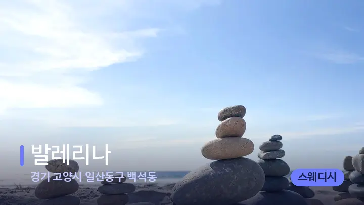 경기 고양시 일산동구 백석동 발레리나 — 마사지용 스톤