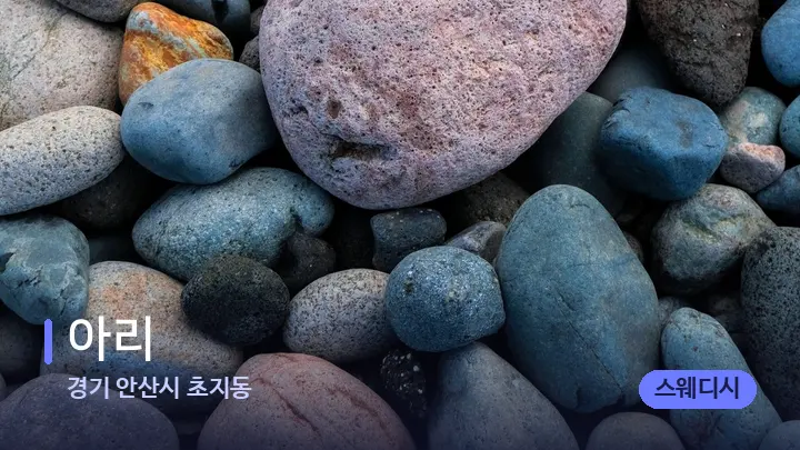 경기 안산시 초지동 아리 — 마사지용 스톤