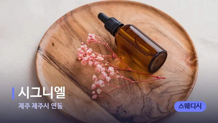 제주 제주시 연동 시그니엘 — 아로마테라피 오일