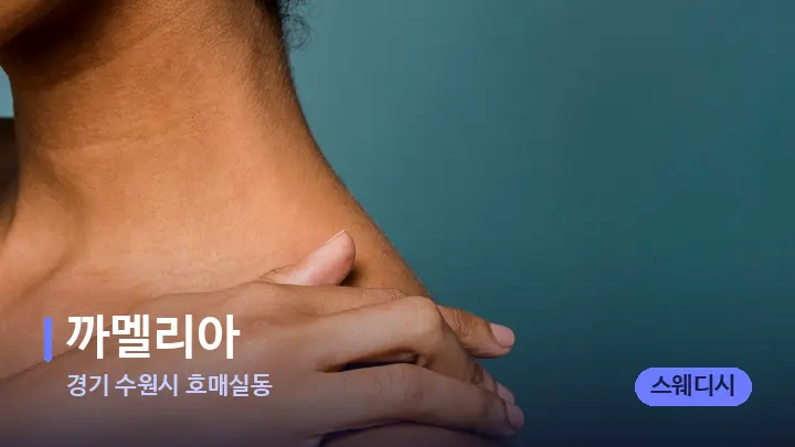 경기 수원시 호매실동 까멜리아 — 어깨를 다루는 관리사의 손