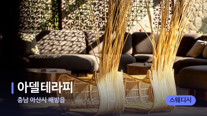 충남 아산시 배방읍 아델테라피 — 스파 프런트 공간