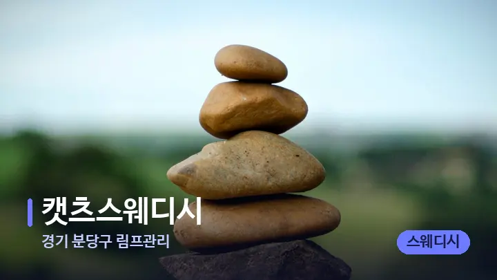 경기 분당구 림프관리 캣츠스웨디시 — 마사지용 스톤