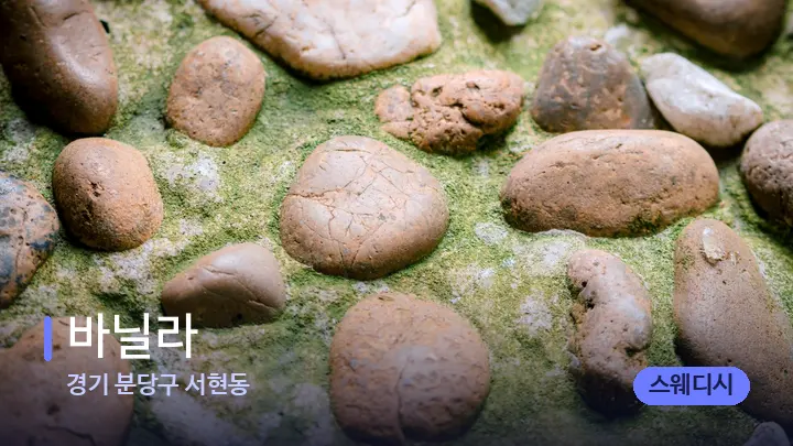 경기 분당구 서현동 바닐라 — 마사지용 스톤