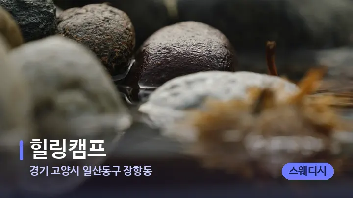 경기 고양시 일산동구 장항동 힐링캠프 — 마사지용 스톤