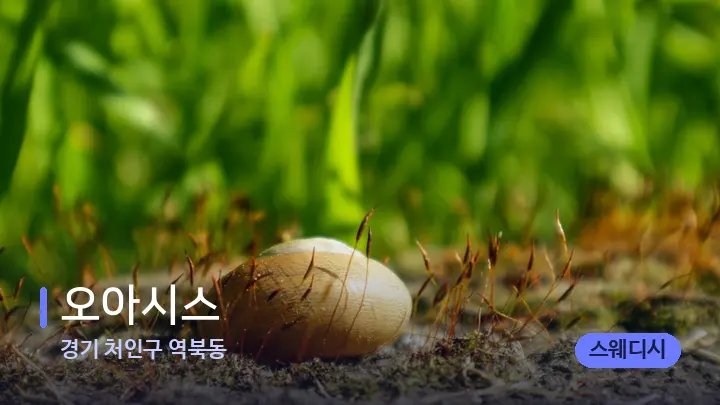 경기 처인구 역북동 오아시스 — 마사지용 스톤