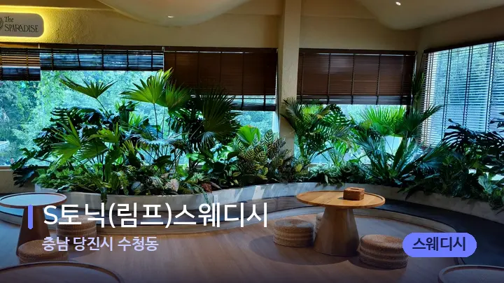 충남 당진시 수청동 S토닉(림프)스웨디시 — 웰니스 스파 공간