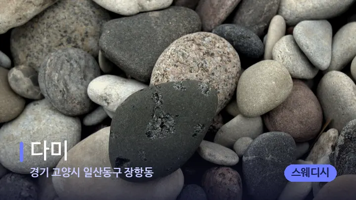 경기 고양시 일산동구 장항동 다미 — 마사지용 스톤