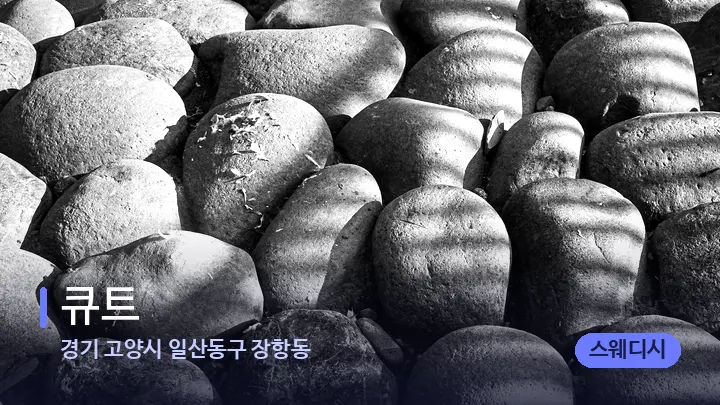 경기 고양시 일산동구 장항동 큐트 — 마사지용 스톤