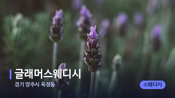 경기 양주시 옥정동 글래머스웨디시 — 아로마테라피 오일