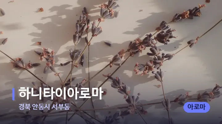 경북 안동시 서부동 하니타이아로마 — 아로마테라피 오일