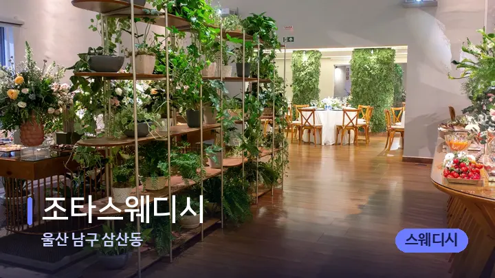 울산 남구 삼산동 조타스웨디시 — 스파 프런트 공간