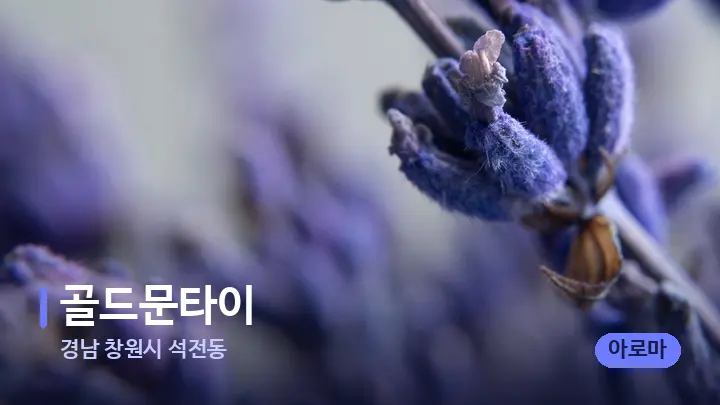 경남 창원시 석전동 골드문타이 — 아로마테라피 오일