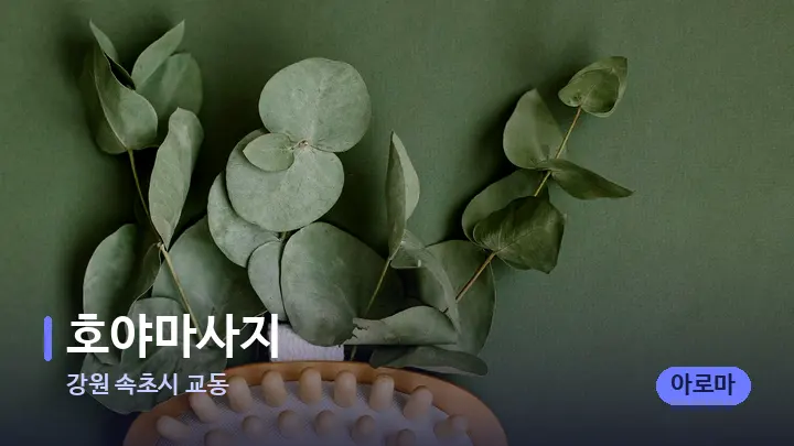 강원 속초시 교동 호야마사지 — 마사지용 스톤