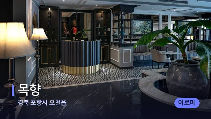 경북 포항시 오천읍 목향 — 스파 프런트 공간