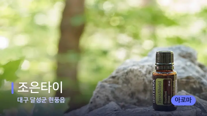 대구 달성군 현풍읍 조은타이 — 아로마테라피 오일