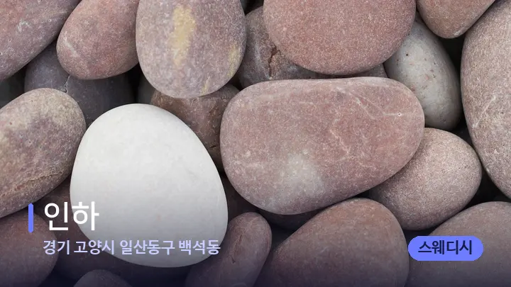 경기 고양시 일산동구 백석동 인하 — 마사지용 스톤