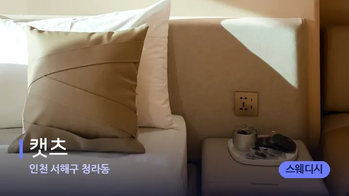인천 서해구 청라동 캣츠 — 휴식 분위기의 스파 베드