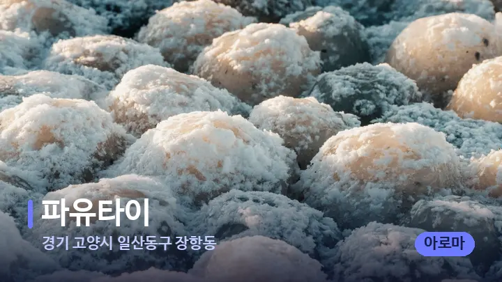 경기 고양시 일산동구 장항동 파유타이 — 마사지용 스톤