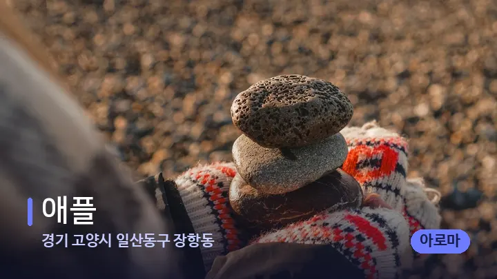 경기 고양시 일산동구 장항동 애플 — 마사지용 스톤