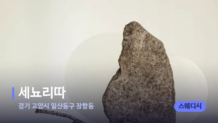 경기 고양시 일산동구 장항동 세뇨리따 — 마사지용 스톤