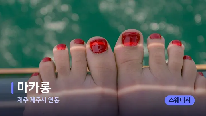 제주 제주시 연동 마카롱 — 발 관리 장면
