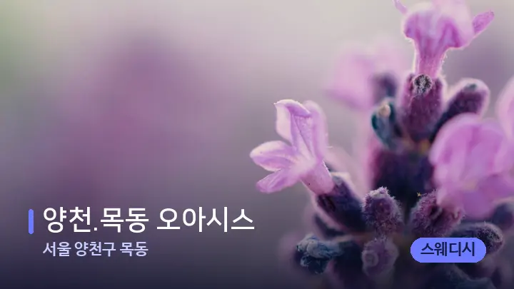 서울 양천구 목동 ﻿양천.목동 오아시스 — 아로마테라피 오일