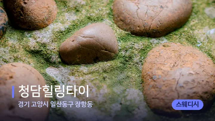 경기 고양시 일산동구 장항동 청담힐링타이 — 마사지용 스톤