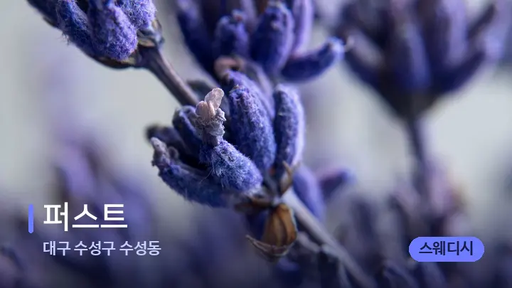 대구 수성구 수성동 퍼스트 — 아로마테라피 오일